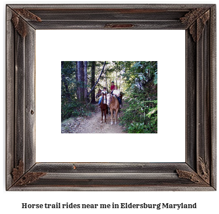 horse trail rides near me in Eldersburg, Maryland